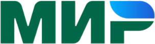 Payments Mir