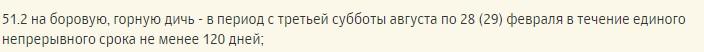 Сроки и особенности охоты на рябчиков