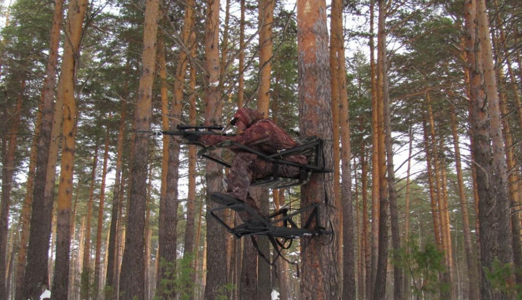 Охота на марала с дерева