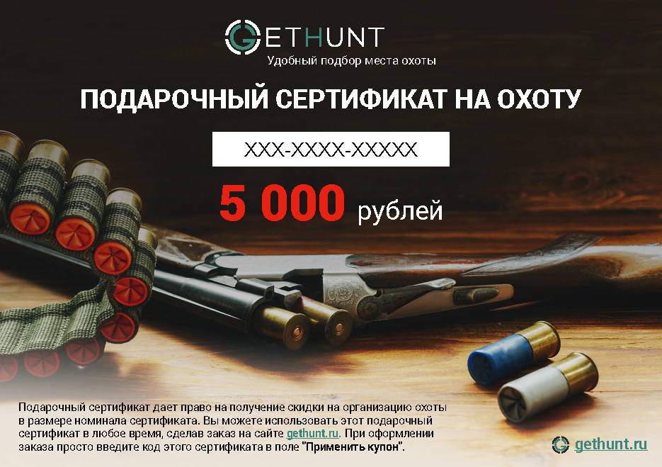 sertificate_gh_5000.png