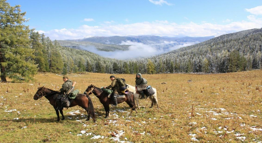 Охота на марала нагоном