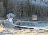 GetHunt Костромская область, Чухломской район фото 12