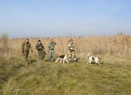GetHunt Светлоград Ставрополье фото 5