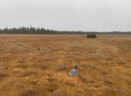 GetHunt Архангельская область, Пинежский район фото 9