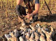 Gethunt Краснодарский край, Староминский район фото 13