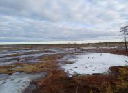 Gethunt Республика Коми муниципальный округ "Ухта" фото 7