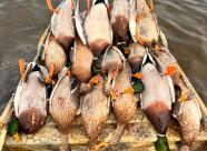 Gethunt Краснодарский край, Староминский район фото 11