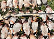 Gethunt Краснодарский край, Староминский район фото 30