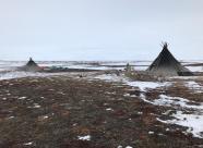 Gethunt Ямало-Ненецкий национальный округ, Приуральский район фото 4