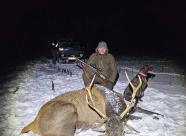 GetHunt Республика Беларусь Могилевская область Могилевский район фото 4