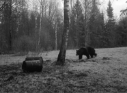 Охотничье хозяйство «Волынь» фото 17