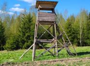 GetHunt Вологодская область, Нюксенский район фото 7