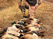 Gethunt Краснодарский край, Староминский район фото 22