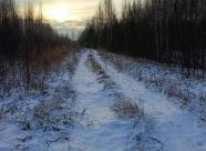 Gethunt Вологодская область, Вологодский район - 1 фото 4