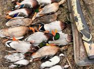 Gethunt Краснодарский край, Староминский район фото 19