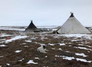 GetHunt Республика Коми, Воркутинский городской округ фото 1