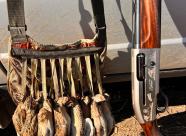 Gethunt Краснодарский край, Староминский район фото 12