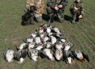 Gethunt Республика Беларусь, Гомельская область, Чечерский район фото 2