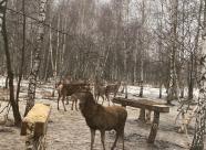 GetHunt Тульская область, Веневский район 1 фото 2