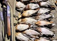 Gethunt Краснодарский край, Староминский район фото 5