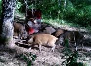 Gethunt Башкирия, Зилаирский район фото 11