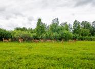 GetHunt Тюменская область, Омутинский район фото 5