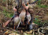 Gethunt Московская область, Раменский район фото 6