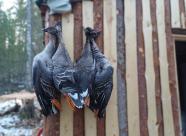 Gethunt Республика Коми муниципальный округ "Ухта" фото 6