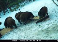 Gethunt Курганская область, Кетовский район фото 6