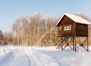GetHunt Смоленская область, Вяземский район фото 19
