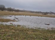 GetHunt Кировская область, Котельничский район - 2 фото 5