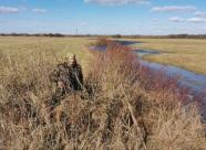 Gethunt Вологодская область, Великоустюгский район фото 5