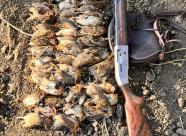 Gethunt Краснодарский край, Староминский район фото 26