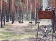 GetHunt Тамбовская область, Сосновский район фото 11