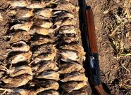 Gethunt Краснодарский край, Староминский район фото 29