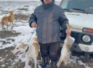 GetHunt Волгоградская область, Новоаннинский район фото 24