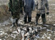 Gethunt Республика Беларусь, Гомельская область, Чечерский район фото 1