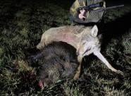 GetHunt Республика Беларусь Могилевская область Могилевский район фото 10