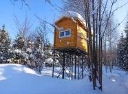 Gethunt Московская область, городской округ Лобня фото 5