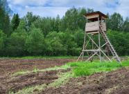 GetHunt Вологодская область, Нюксенский район фото 8
