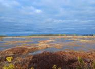 Gethunt Республика Коми муниципальный округ "Ухта" фото 8