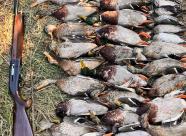 Gethunt Краснодарский край, Староминский район фото 2