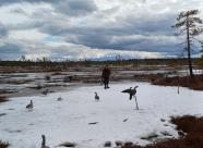 Gethunt Республика Коми муниципальный округ "Ухта" фото 9