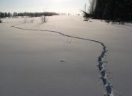 Gethunt Кировская область, Слободской район  фото 2
