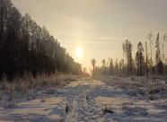 Gethunt Вологодская область, Вологодский район - 1 фото 3