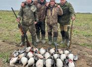 GetHunt Новгородская область, Старорусский район фото 4