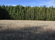 GetHunt Вологодская обл., Верховажский р-н - 2  фото 6