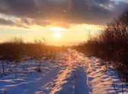 Gethunt Вологодская область, Вологодский район - 1 фото 1