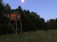 GetHunt Костромская область, Чухломской район фото 14