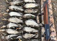 Gethunt Краснодарский край, Староминский район фото 28